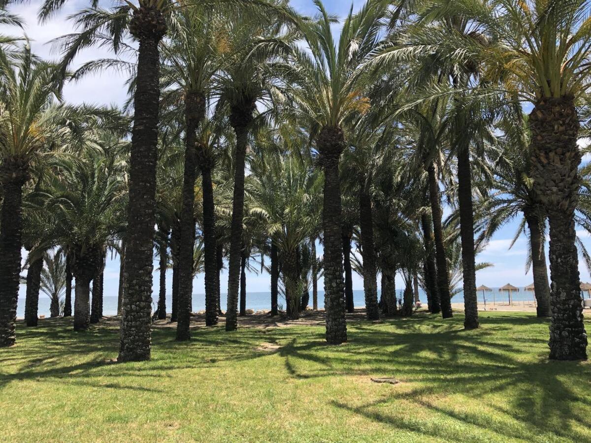 Apartamento El Remo Torremolinos Extérieur photo