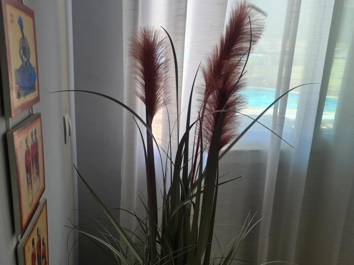 Apartamento El Remo Torremolinos Extérieur photo